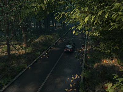 Scenic Road Infrastructure With Lush Trees Fallen Leaves And Asphalt Pavement 3d model