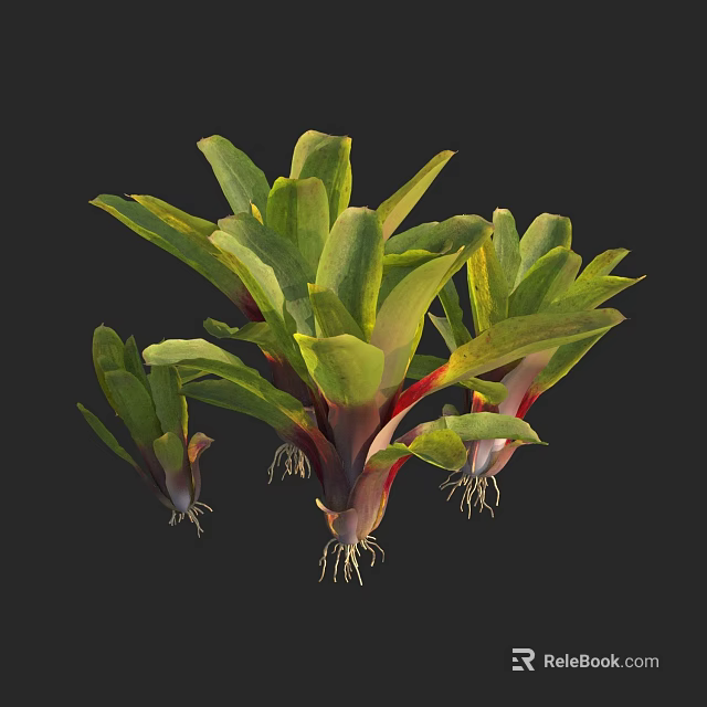 Herb Plants With Green And Yellow Leaves Red Stems And Visible Roots 3d model 