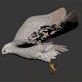 White Eagle Flying With Spread Wings And Yellow Talons Against Gray Background 3d model