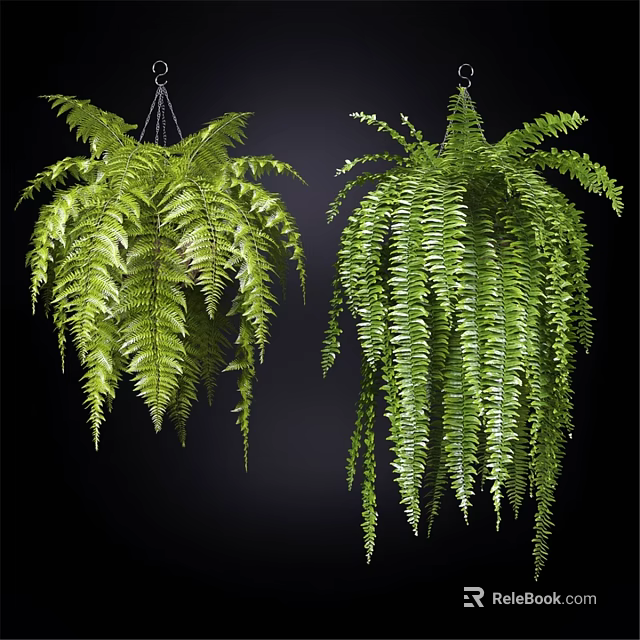 Decorative Ornament Set of Hanging Green Ferns with Lush Fronds for Indoor Decor 3d model 