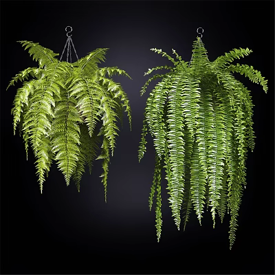 Decorative Ornament Set of Hanging Green Ferns with Lush Fronds for Indoor Decor 3d model