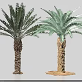Palm Trees With Textured Trunks Lush Dark And Lighter Green Leaves Against Light Blue Background