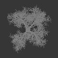 Snow Covered Bare Branches On Winter Tree With Gray Background 3d model