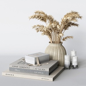 Books Dried Flowers Vase Jewelry 3d model