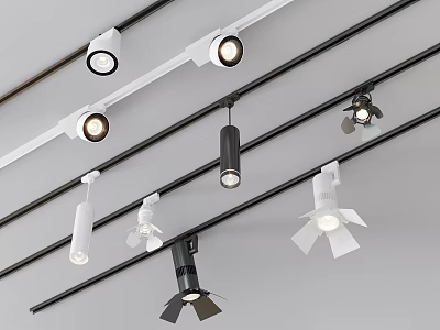 Track Mounted Black and White Downlights and Spotlights with Various Modern Styles for Indoor Lighting 3d model