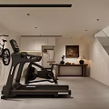 Modern Entertainment Room Interior With Treadmill Wall Mounted Bicycle And Cabinets