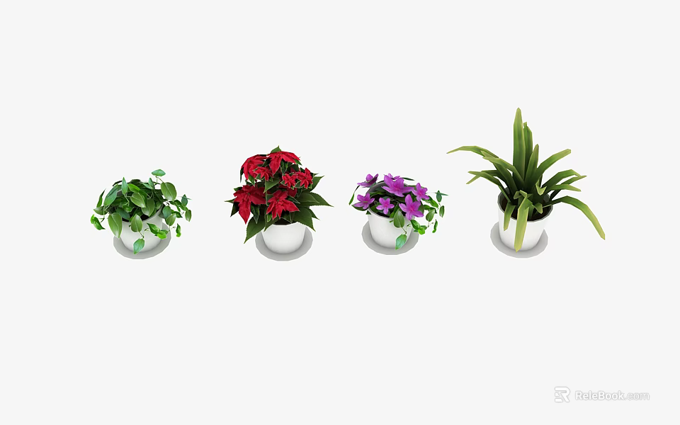 Colorful Potted Plants with Red Purple and Green Foliage in White Pots 3d model 