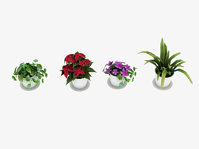 Colorful Potted Plants with Red Purple and Green Foliage in White Pots 3d model