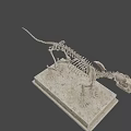 Detailed Animal Skeleton Display Featuring Anatomical Structure On Marble Base 3d model