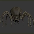 Realistic 3D Spider Model With Skeletal Legs And Brown Exoskeleton 3d model