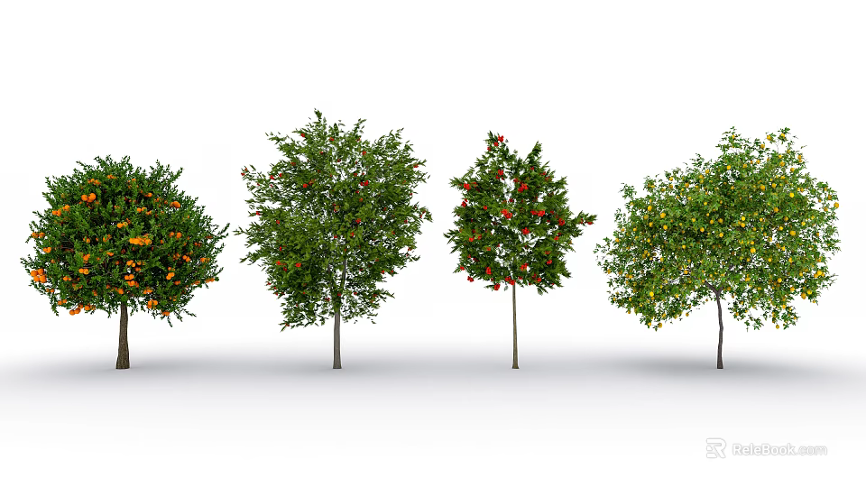 Different Fruit Bearing Trees With Green Foliage And Colorful Fruits Arranged In Row 3d model 