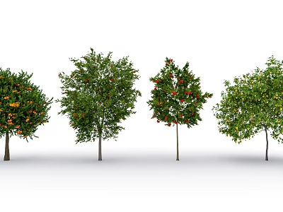 Different Fruit Bearing Trees With Green Foliage And Colorful Fruits Arranged In Row 3d model