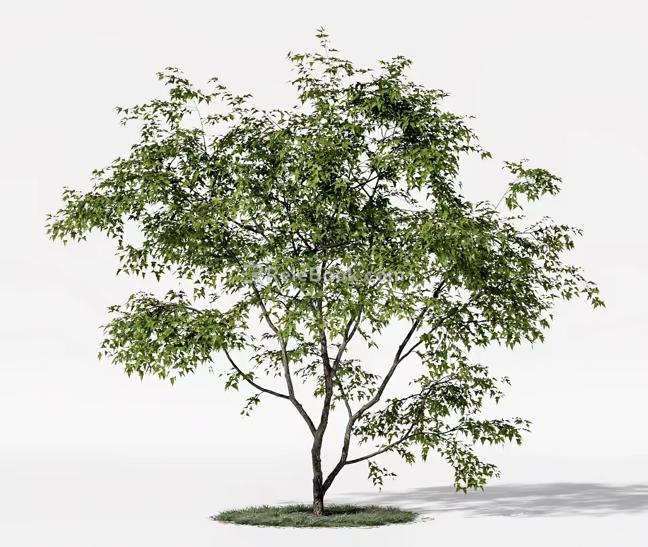 landscape tree pool big tree 3d model