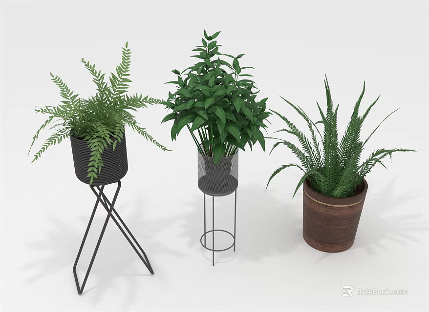Indoor Green Plants Fern Leafy Succulent in Black Metal Stand Transparent Container Brown Ceramic Pot 3d model 