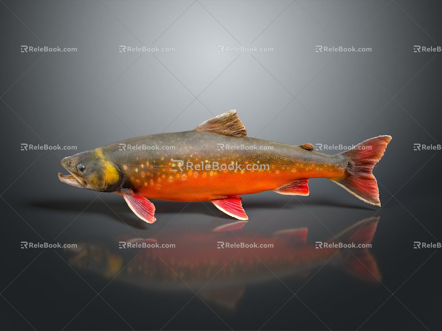 Fish Freshwater Fish Sea Fish Animal Game Animal Cartoon Animal Realistic Animal 3d model