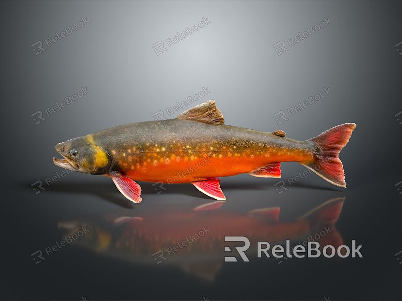 Fish Freshwater Fish Sea Fish Animal Game Animal Cartoon Animal Realistic Animal model