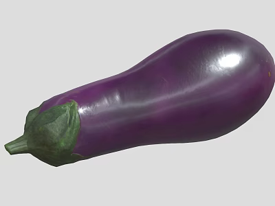 Fresh Purple Eggplant With Shiny Skin And Green Stem For Healthy Diet Options 3d model