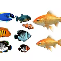 Colorful Aquatic Animals Featuring Goldfish Clownfish And Tropical Fish Species