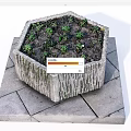 Hexagonal Stone Garden Planter With Small Green Plants On Stone Slab Platform