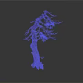 Dry Tree with Rough Trunk and Leafless Branches Standing Against White Background