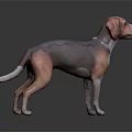 Brown and Purple Dog 3D Model Standing on Dark Shiny Background Surface