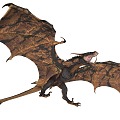 Flying Animals Western Dragon Tyrannosaurus 3d model