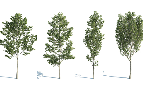 The Modern Tree 3d model