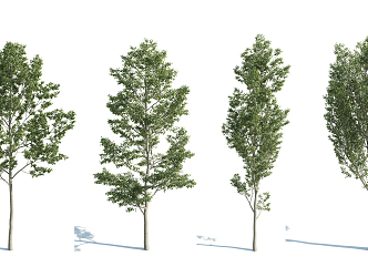 The Modern Tree 3d model