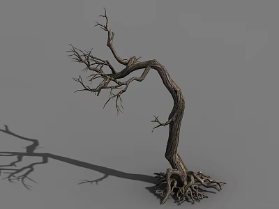 Dry Tree With Twisted Trunk Bare Branches And Exposed Roots In Natural Form 3d model