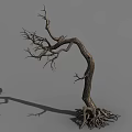 Dry Tree With Twisted Trunk Bare Branches And Exposed Roots In Natural Form 3d model