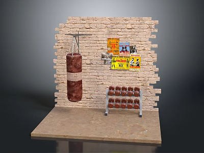Home Gym Training Corner With Brick Wall Punching Bag Posters Dumbbell Rack And Dumbbells 3d model