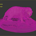 Detailed Naked Mole Rat Model Standing On Blue Display Base