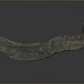 Ancient Animal Organ Fossil With Curved Jawbone And Hair Traces On Dark Background