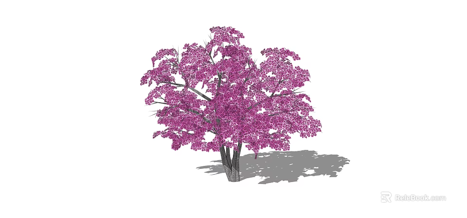 Lush Purple Flowering Tree With Dark Trunk And Natural Shadow Effect 3d model 