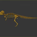 Yellow Dinosaur Skeleton With Detailed Bone Structure And 3D Rendering 3d model