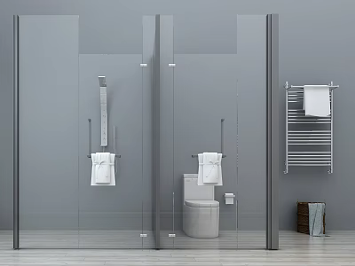 Modern Shower Sauna with Glass Partition Toilet and Towel Rack White Towels in Bathroom Interior 3d model