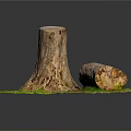 Natural Tree Stump And Log Scene With Green Grass And Detailed Texture