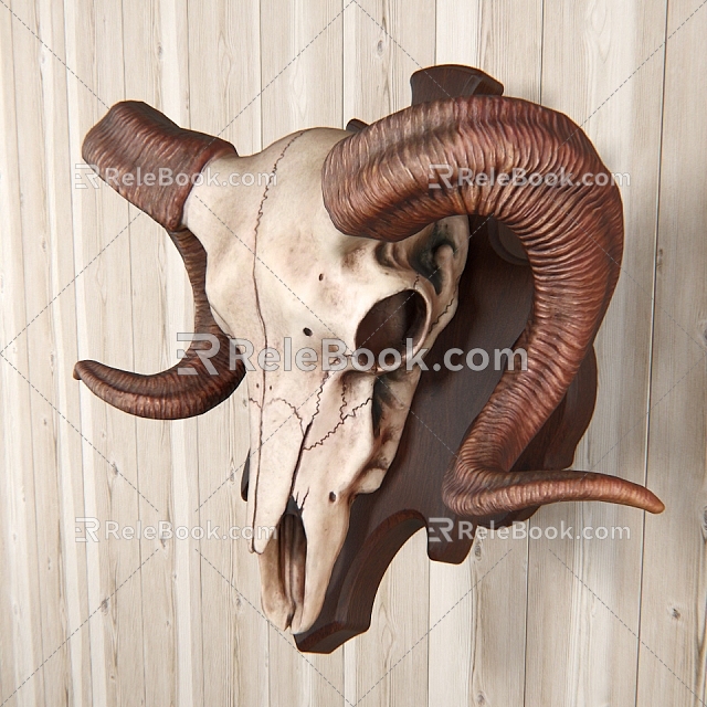 Sheephead Wall Decoration 3d model