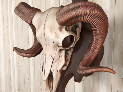 Rustic Ram Skull Wall Decor With Faux Bone Finish For Living Room Home Accent 3d model