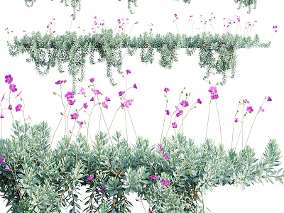 Natural Lush Hanging Vines With Green Leaves And Delicate Purple Flowers 3d model