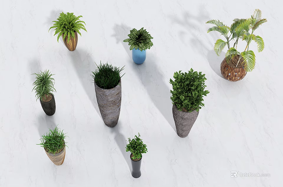 Various Potted Bonsai Plants With Woven And Ceramic Pots For Home Decor 3d model 