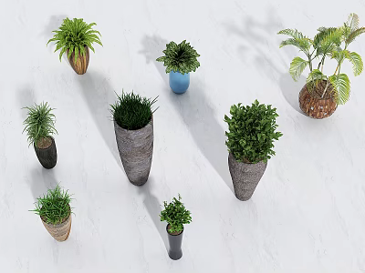Various Potted Bonsai Plants With Woven And Ceramic Pots For Home Decor 3d model