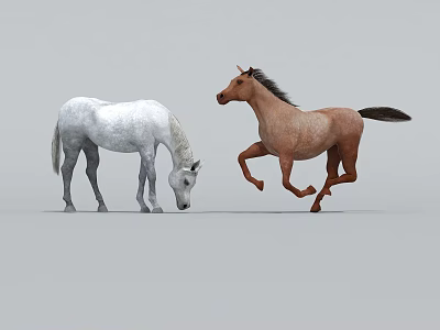 White And Brown Reptiles One Bending Head And The Other Running 3d model