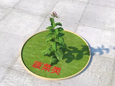 Vibrant Vegetable Plant with Lush Green Leaves on Circular Mat 3d model