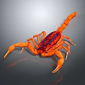 Detailed Vibrant Orange and Red Scorpion on Gray Background with Reflection