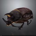 Textured Purple and Pink Spotted Beetle with Horned Head on Dark Background