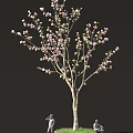 Blooming Pink Flowering Tree With Slender Branches Against Black Background 3d model