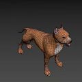Brown Dog With White Chest Standing Alertly On Dark Background