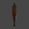 Detailed Brown Horse Standing Against Light Blue Background In 3D Rendering