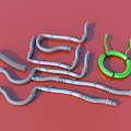 Collection of Grey Curved Pipes with Green Coiled Cable on Red Surface